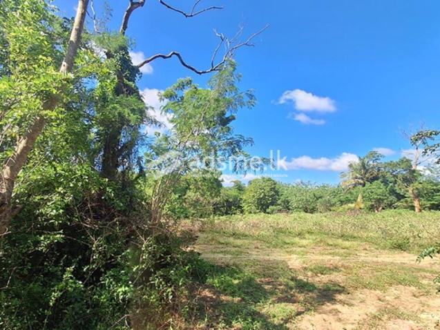 A valuable 2.5 acre land is for sale in plots Colombo – Kataragama main road.