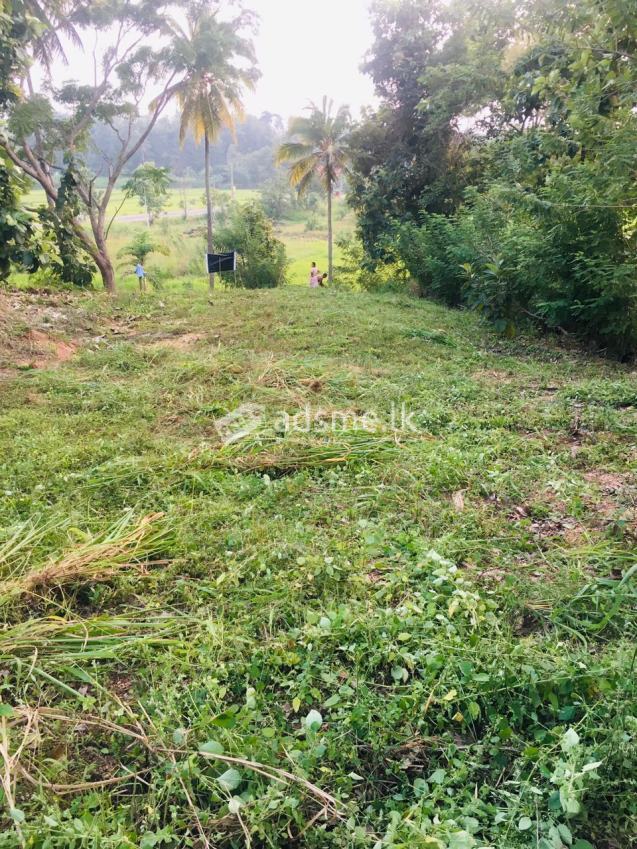 Land For Sale