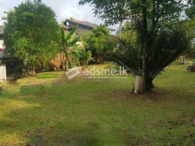 Prime Residential Land for Sale – Jubilee Post, Mirihana