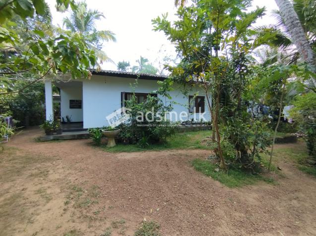House for sale (emergency)