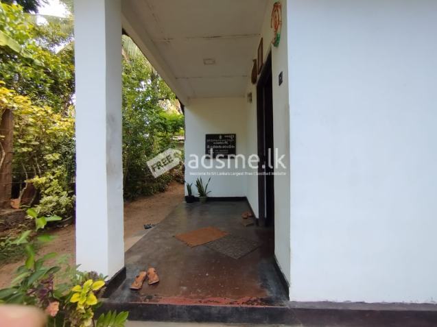 House for sale (emergency)