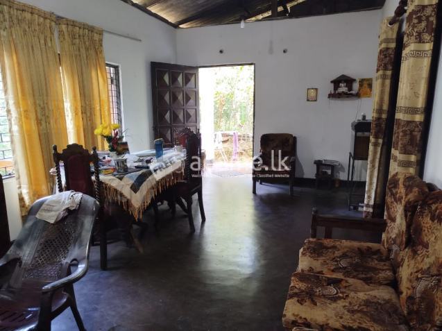 House for sale (emergency)