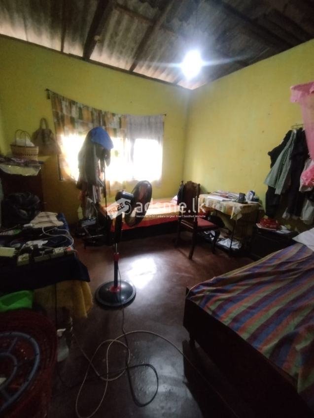 House for sale (emergency)