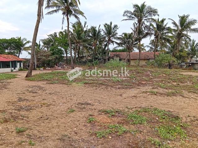 Prime Beachfront Land for Sale – Pitipana, Negombo