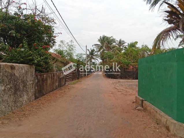 Prime Beachfront Land for Sale – Pitipana, Negombo