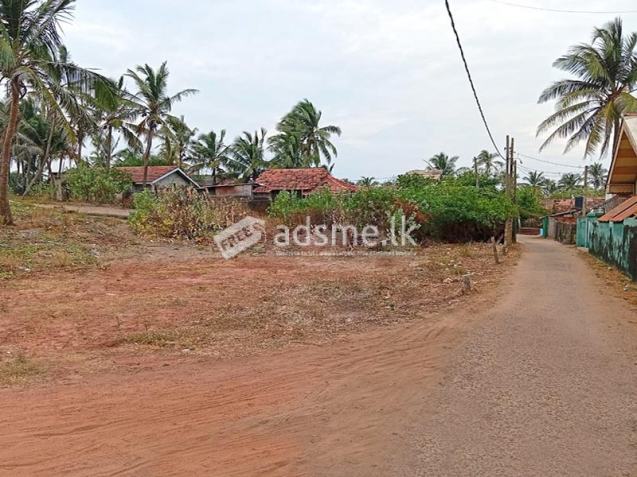 Prime Beachfront Land for Sale – Pitipana, Negombo