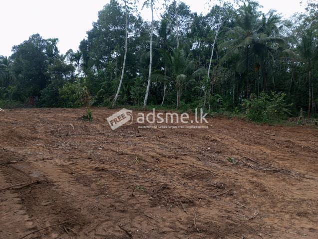 Land For Sale In Moragahahena