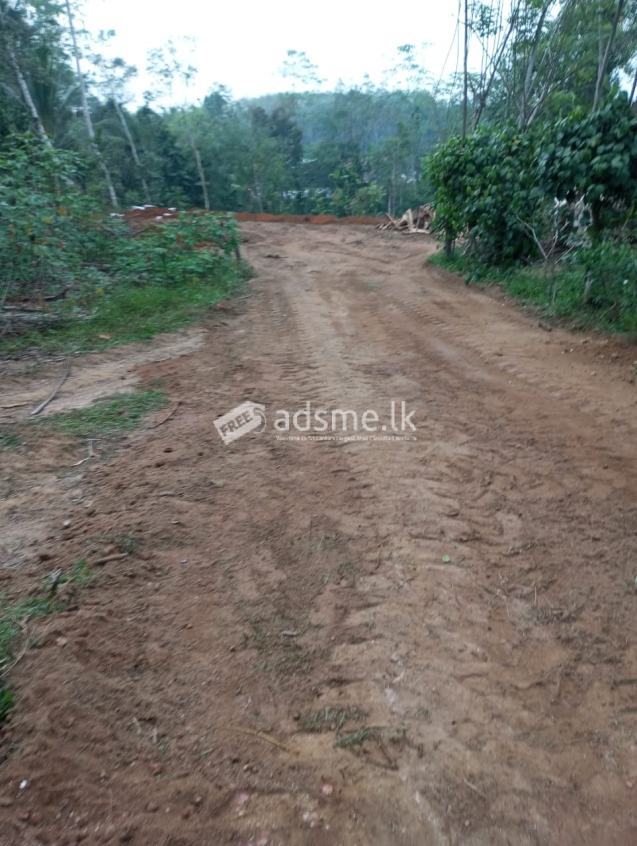 Land For Sale In Moragahahena