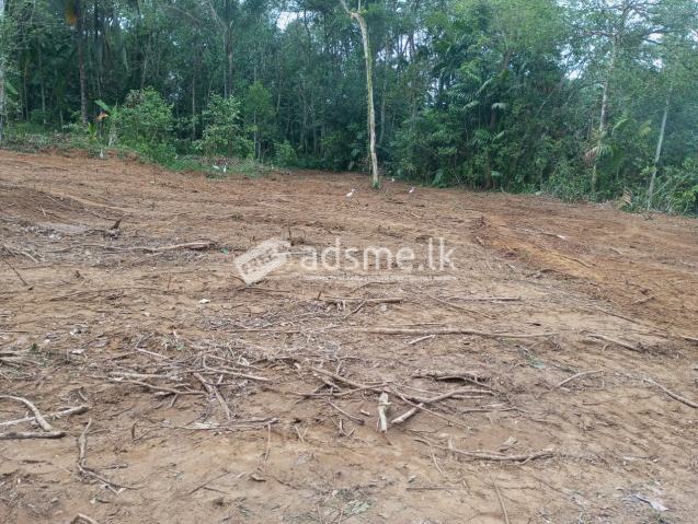 Land For Sale In Moragahahena
