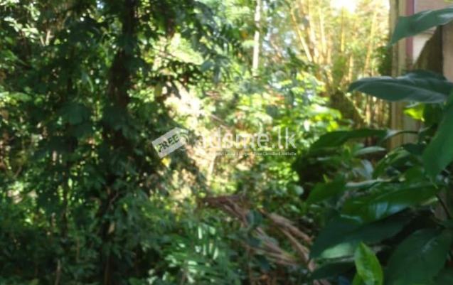 Prime Residential Land for Sale in Dehiwala