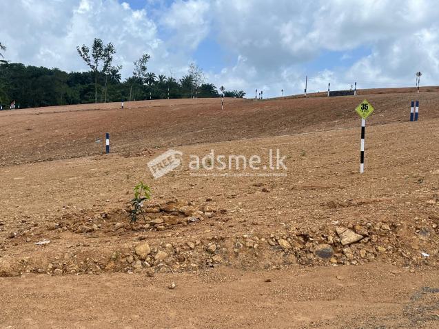 Land For Sale