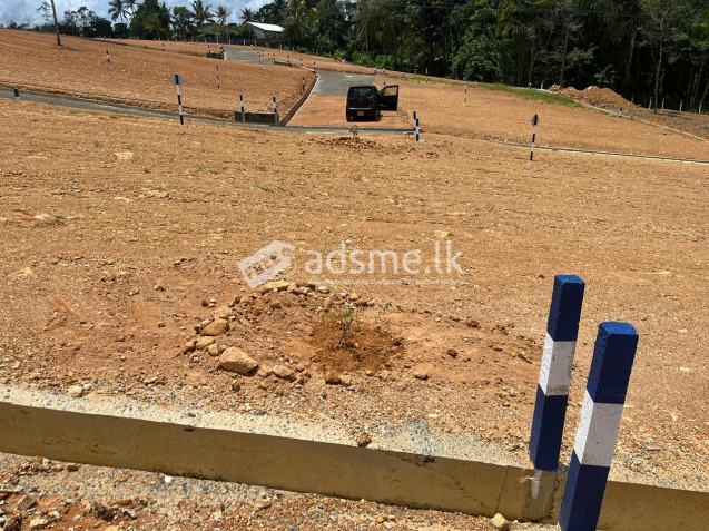 Land For Sale