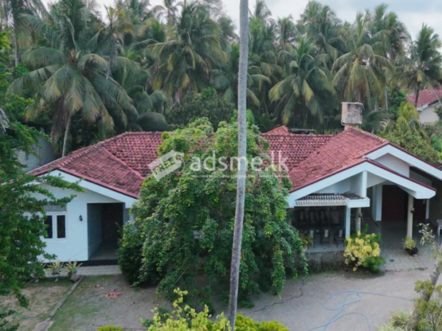 Prime Property for Sale – Wennappuwa (New Road)