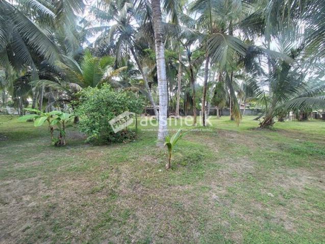 Prime Property for Sale – Wennappuwa (New Road)