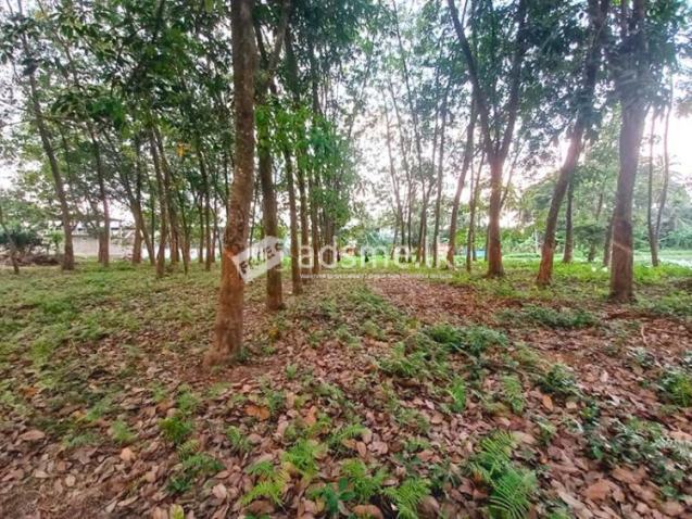 Prime Commercial Rubber Land for Sale in Biyagama.
