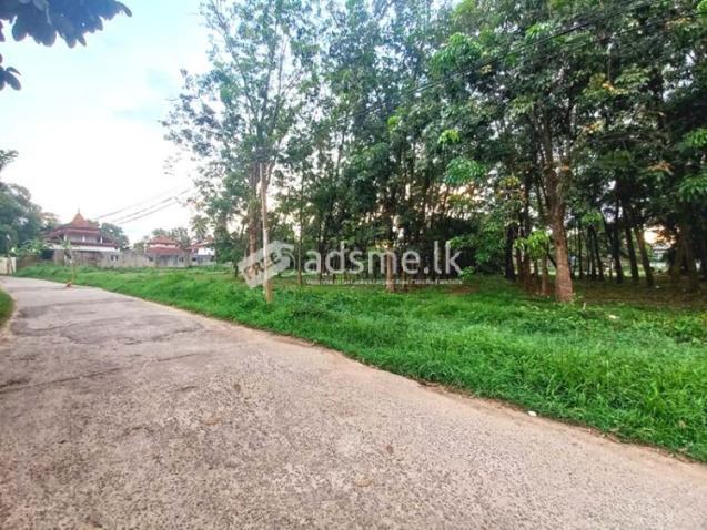 Prime Commercial Rubber Land for Sale in Biyagama.