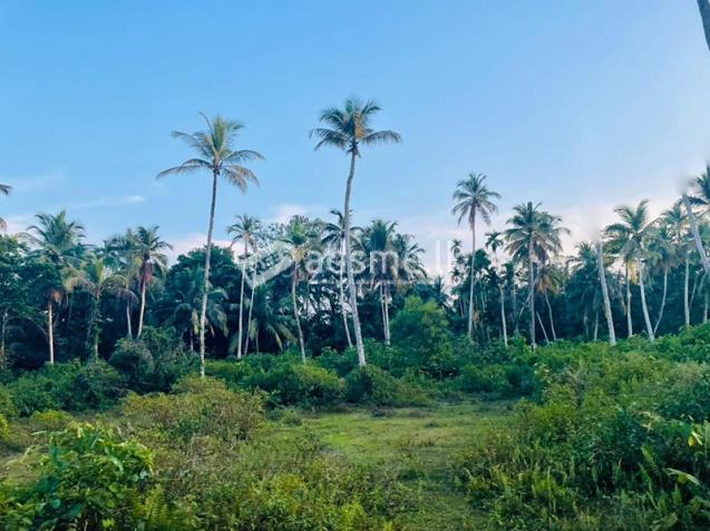 Valuable Commercial cum Residential Lands for Sale – Bentota