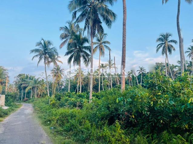 Valuable Commercial cum Residential Lands for Sale – Bentota