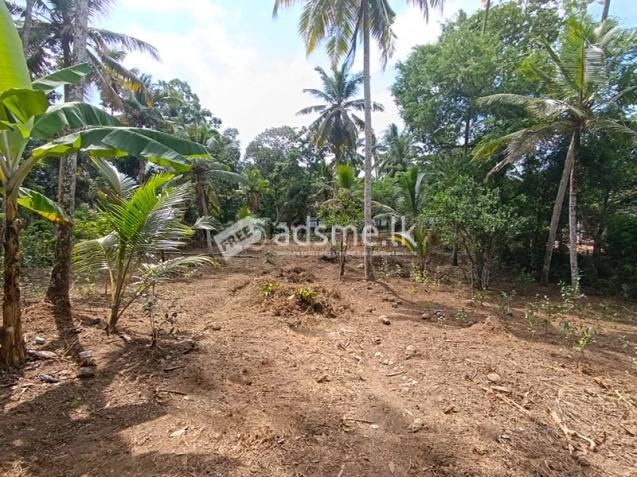 367 Perches Scenic Land for Sale in Ahangama.