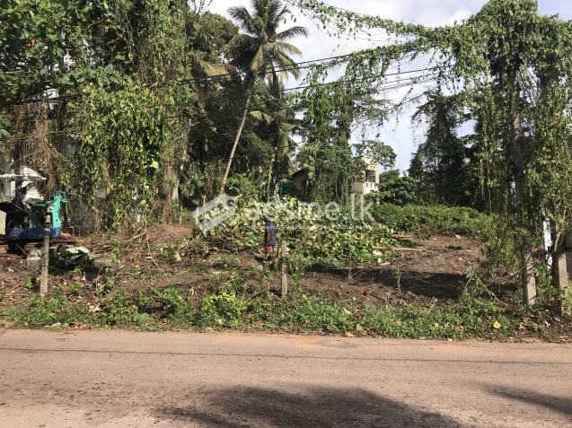 Prime Residential Land in Malamulla Panadura