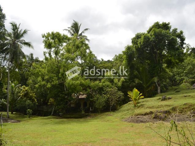 LAND FOR SALE – WARANA, KALAGEDIHENA (GAMPAHA DISTRICT)