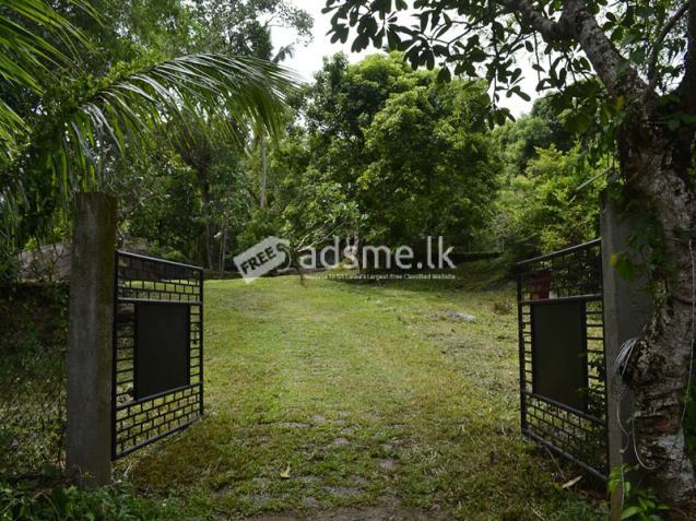 LAND FOR SALE – WARANA, KALAGEDIHENA (GAMPAHA DISTRICT)