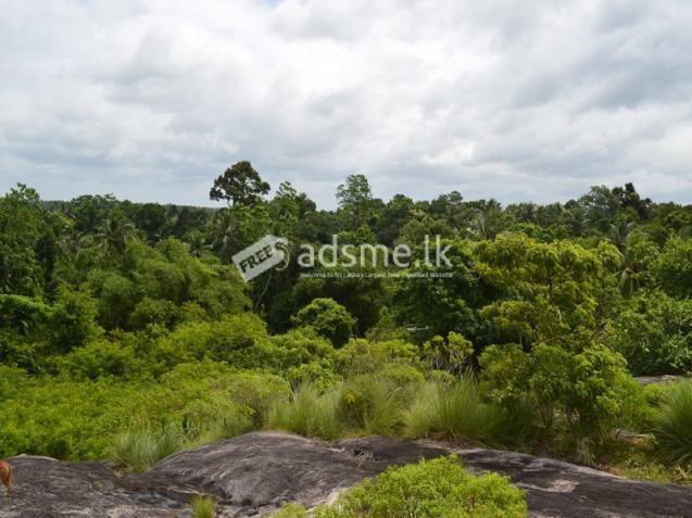 LAND FOR SALE – WARANA, KALAGEDIHENA (GAMPAHA DISTRICT)