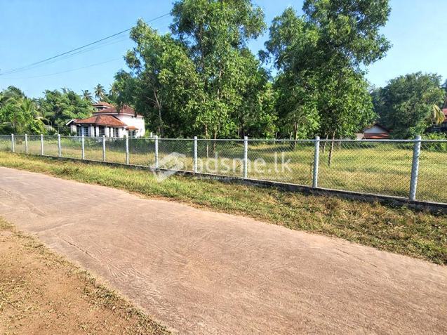 Valuable Developed Land for Sale in Nainamadama, Wennappuwa.