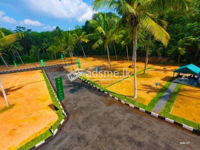 Looking for 3 Bedroom Apartments for Immediate Cash Purchase