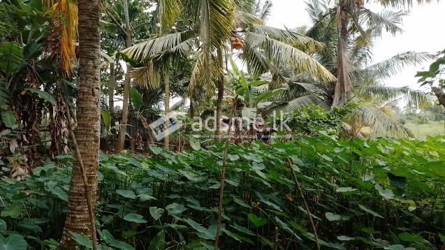 Land for sale near Kidelpitiya Bridge