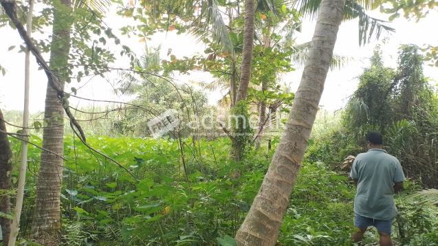 Land for sale near Kidelpitiya Bridge