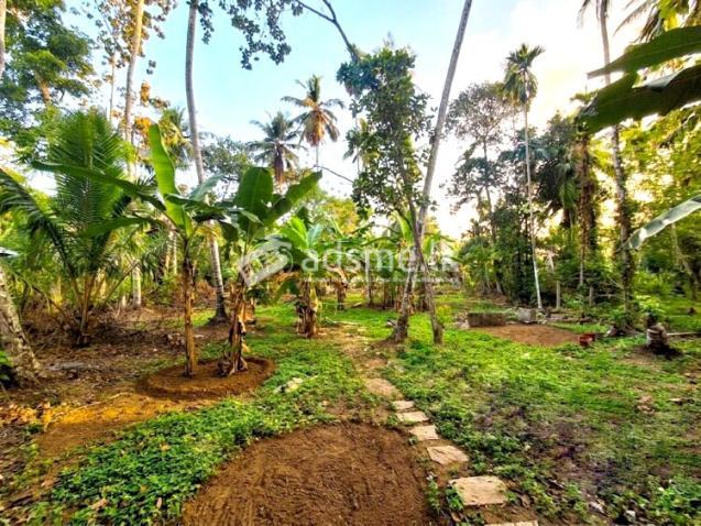 41 Perches of Land for Sale in Udugampola, Gampaha.