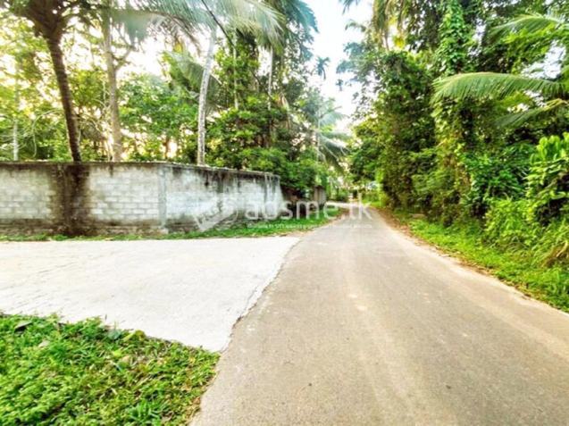41 Perches of Land for Sale in Udugampola, Gampaha.