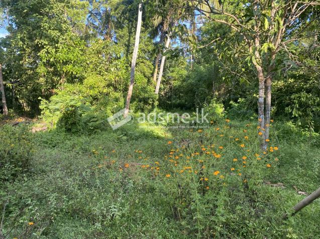 land sale in ahangama