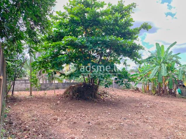 12 Perches Highly Residential Land for Sale in Kirillawala, Kadawatha.