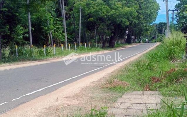 වැල්ලවාය හදපානාගල ගං ඉවුර ආසන්නයේ පර්චස් 60 ඉඩම විකිණීමට ඇත.