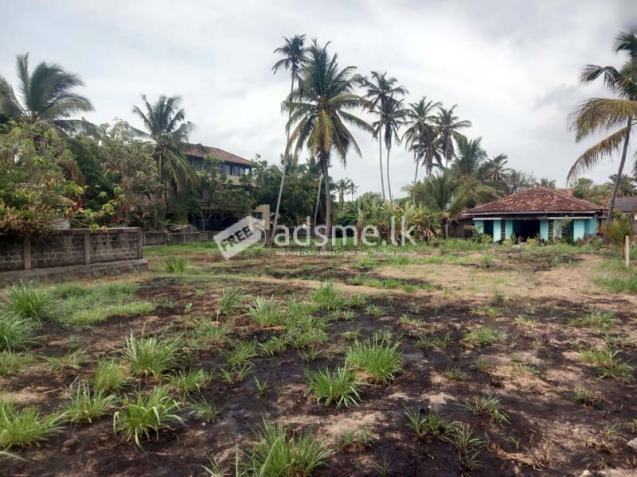 Prime Land for Sale – Close to Pamunugama Town.