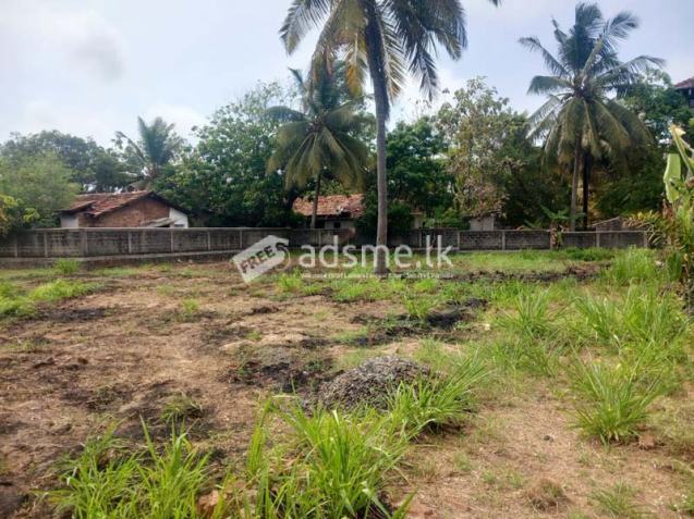 Prime Land for Sale – Close to Pamunugama Town.