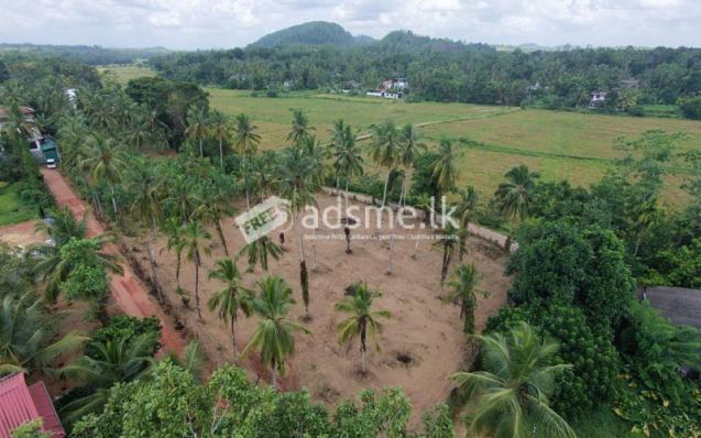 Valuable Residential Land Blocks Available for Sale in Weliweriya