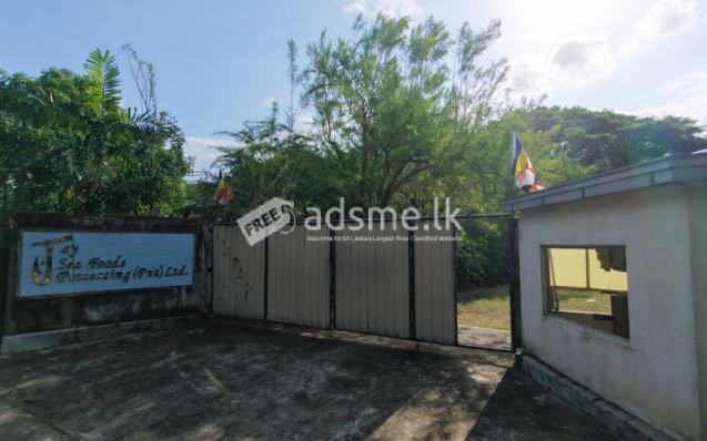 Industrial Factory for Sale – Pallekele BOI Zone, Kandy