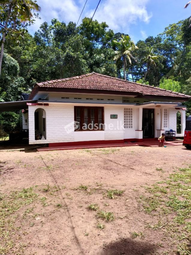 House For Sale