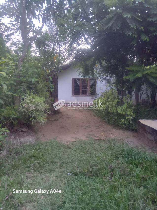House For Sale