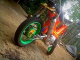 Honda Other Model 1995 (Used)