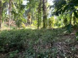 A land to sell urgently