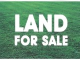 Commercial Land for Sale at Athurugiriya - Colombo