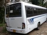 Tata marcopolo  2010