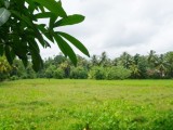 Commercial Land for Sale at Pannipitiya - Colombo