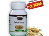 Withania - මතක ශක්තිය වැඩි කිරීමට උපකාරී වේ