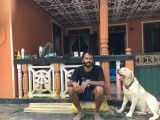 Labrador