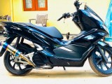 Honda PCX 2019 (New)